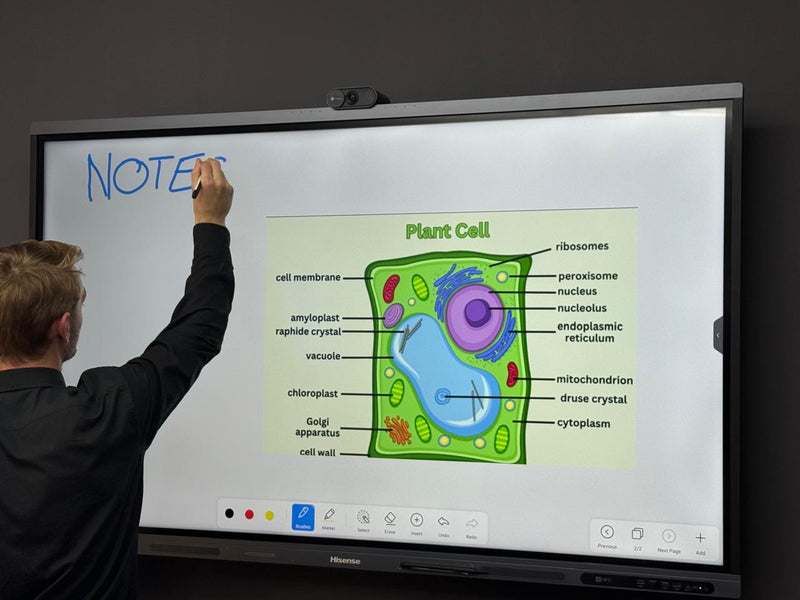 Hisense GoBoard interactive panel in a classroom