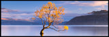 JK Soft Ambient Light Rejection Thin Frame Screen, 120